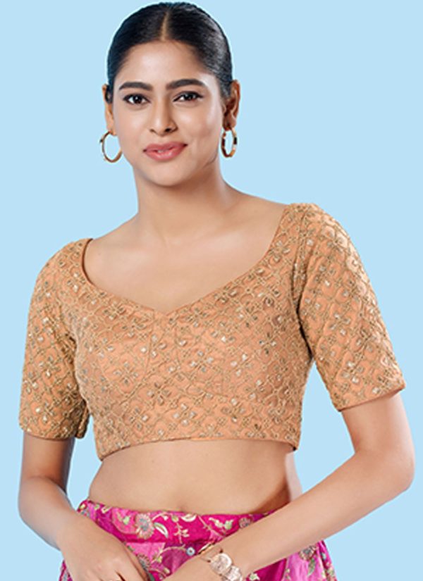 Beige Silk Embroidered Work Designer Blouse
