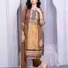 Brown Handloom Silk Pant Style Suit with Embroidered and Resham Work
