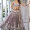 Grey Net Embroidered, Sequins and Thread Work Lehenga Choli