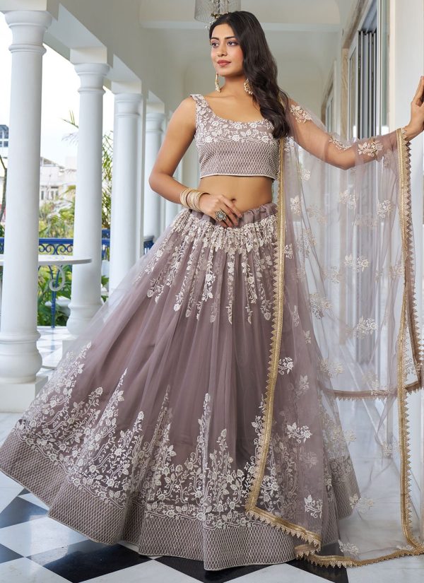 Grey Net Embroidered, Sequins and Thread Work Lehenga Choli