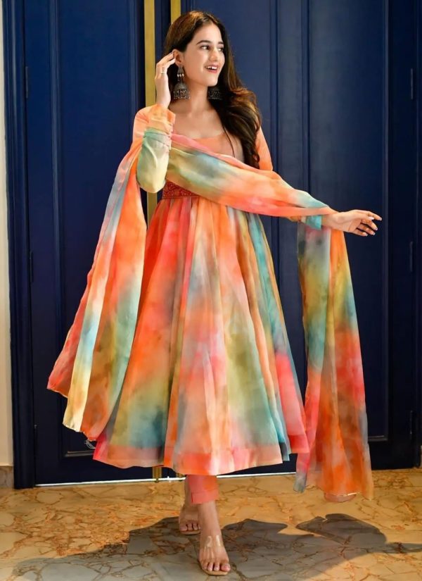 Multi Colour Organza Readymade Salwar Suit