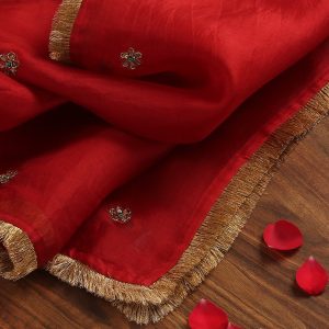 Elegant Red Handloom Organza Dupatta with intricate zardozi hand embroidery by CoutureCraze. Perfect for festive and wedding occasions. A luxurious blend of tradition and beauty.