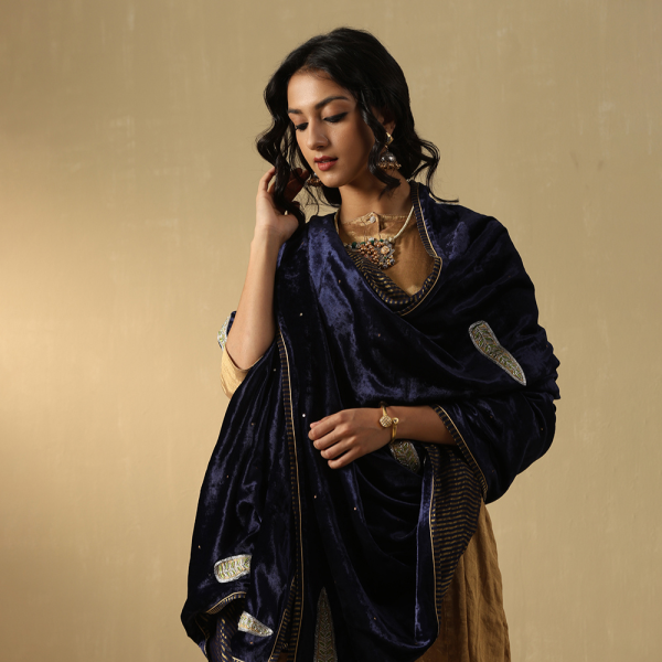 Navy Blue Velvet Doshala with zardozi embroidery and Chanderi tissue border. Luxurious, elegant, and perfect for weddings or festive events. A timeless statement piece.