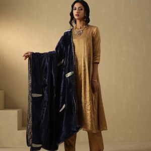 Navy Blue Velvet Doshala with zardozi embroidery and Chanderi tissue border. Luxurious, elegant, and perfect for weddings or festive events. A timeless statement piece.