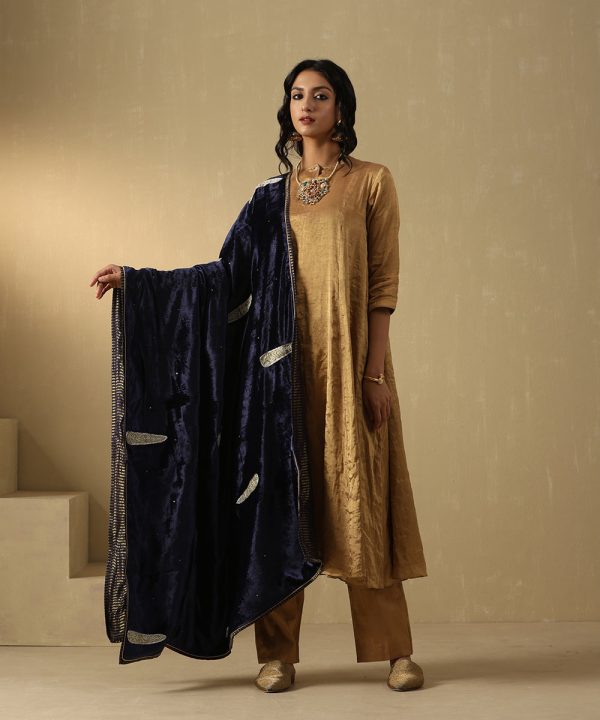 Navy Blue Velvet Doshala with zardozi embroidery and Chanderi tissue border. Luxurious, elegant, and perfect for weddings or festive events. A timeless statement piece.