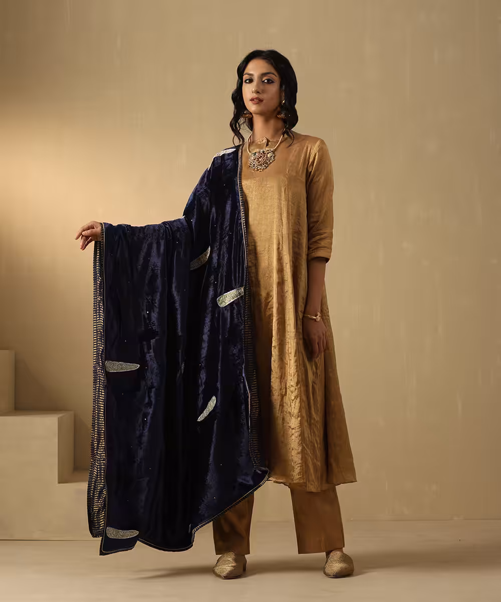 Navy Blue Velvet Doshala with zardozi embroidery and Chanderi tissue border. Luxurious, elegant, and perfect for weddings or festive events. A timeless statement piece.