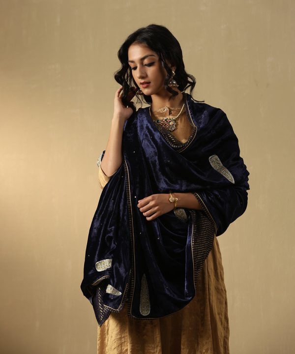 Navy Blue Velvet Doshala with zardozi embroidery and Chanderi tissue border. Luxurious, elegant, and perfect for weddings or festive events. A timeless statement piece.