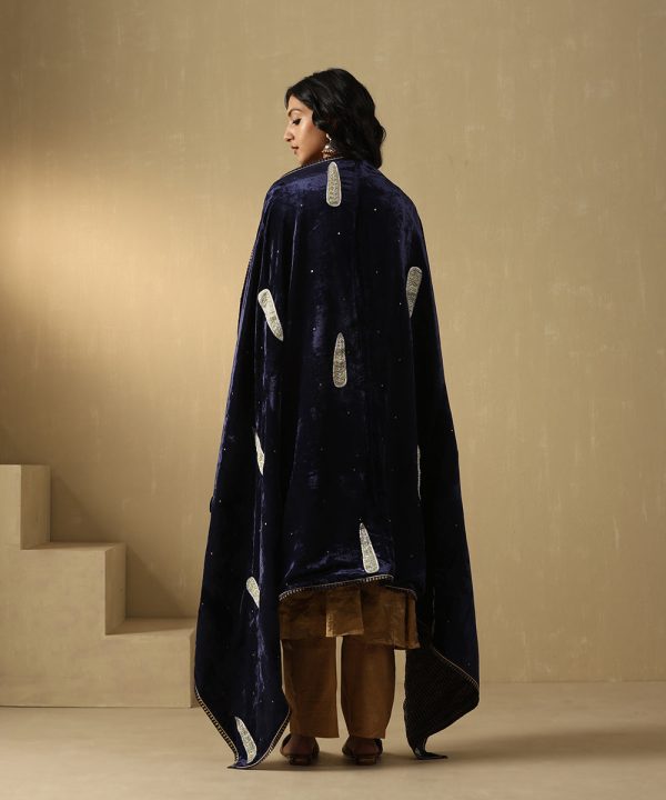 Navy Blue Velvet Doshala with zardozi embroidery and Chanderi tissue border. Luxurious, elegant, and perfect for weddings or festive events. A timeless statement piece.