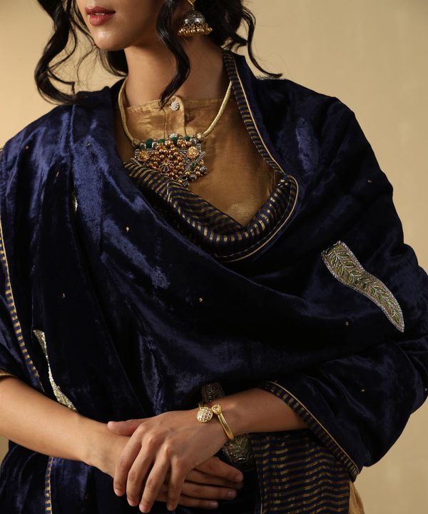 Navy Blue Velvet Doshala with zardozi embroidery and Chanderi tissue border. Luxurious, elegant, and perfect for weddings or festive events. A timeless statement piece.