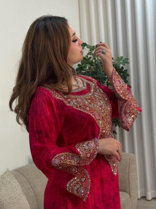 Red Embroidered Ethnic Dress for Women | Festive & Wedding Wear | India 2025 Collection - Image 3