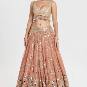 Blush peach net lehenga with gold sequin embroidery and mirror work by Couturecraze, paired with chanderi blouse and organza dupatta