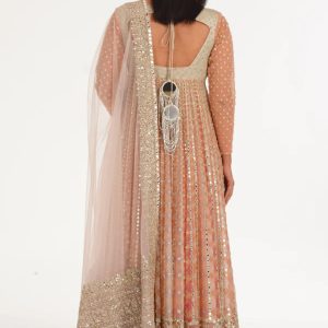 Alternative view of Organza Embroidered Anarkali Set with Dupatta