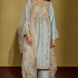 Sage Green Tissue Silk Kurta Set with gota embroidery front view